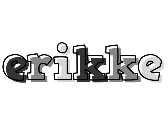Erikke night logo