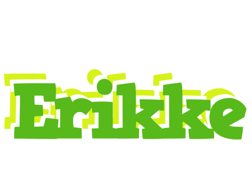 Erikke picnic logo