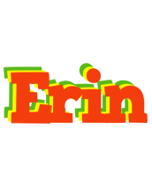 Erin bbq logo