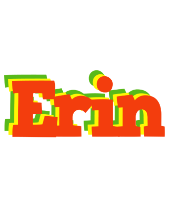 Erin bbq logo