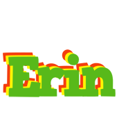 Erin crocodile logo