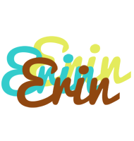 Erin cupcake logo