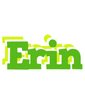 Erin picnic logo