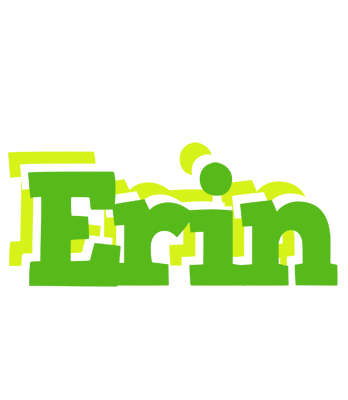Erin picnic logo