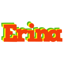 Erina bbq logo