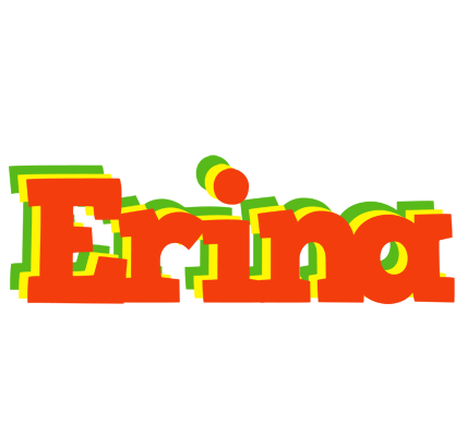 Erina bbq logo