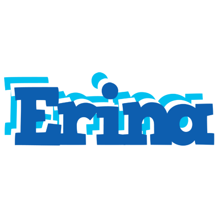 Erina business logo