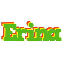 Erina crocodile logo