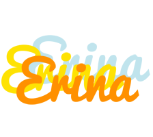 Erina energy logo