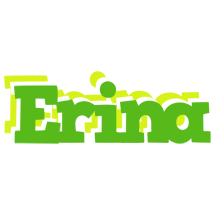 Erina picnic logo