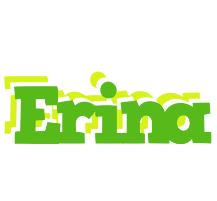 Erina picnic logo