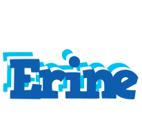 Erine business logo