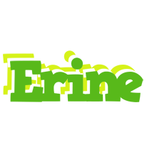 Erine picnic logo