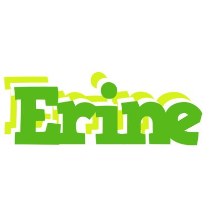 Erine picnic logo