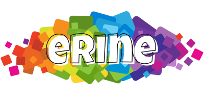 Erine pixels logo