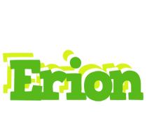 Erion picnic logo