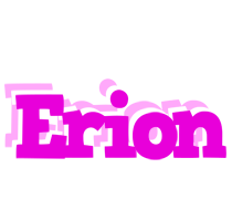 Erion rumba logo