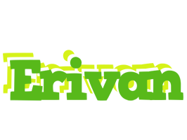 Erivan picnic logo