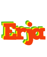 Erja bbq logo