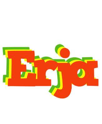 Erja bbq logo