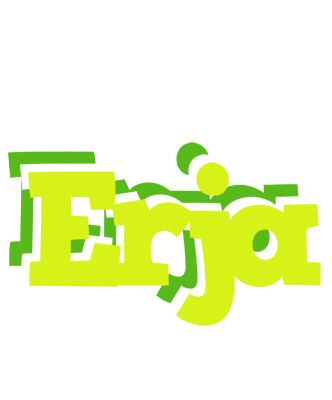 Erja citrus logo