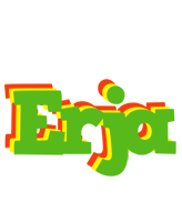 Erja crocodile logo