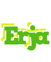 Erja picnic logo