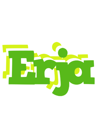 Erja picnic logo