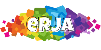 Erja pixels logo