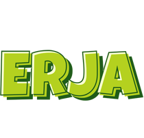 Erja summer logo