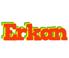 Erkan bbq logo