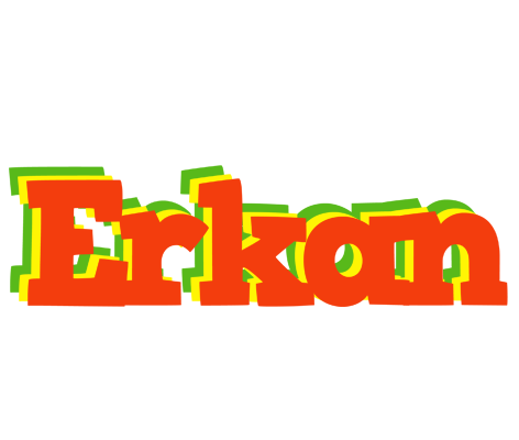 Erkan bbq logo