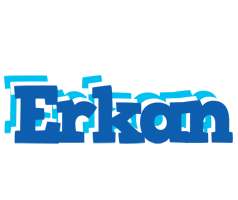 Erkan business logo