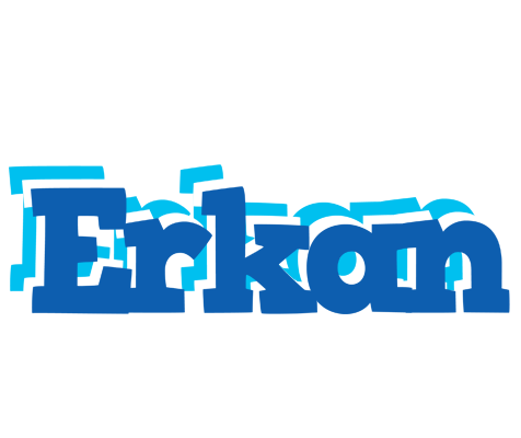 Erkan business logo