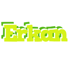 Erkan citrus logo