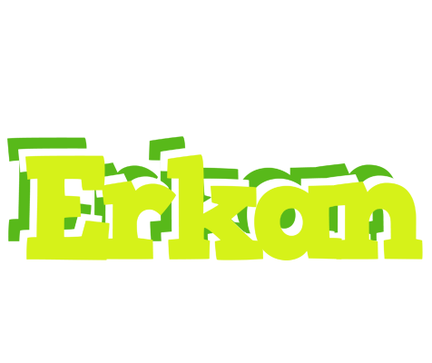 Erkan citrus logo