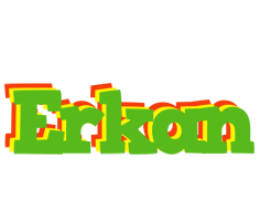 Erkan crocodile logo