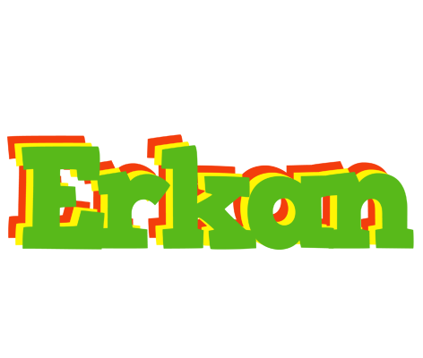 Erkan crocodile logo
