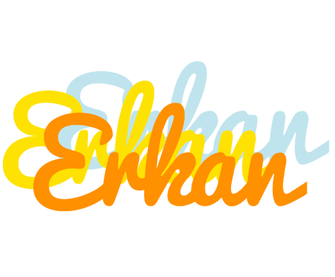 Erkan energy logo