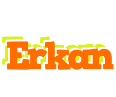 Erkan healthy logo