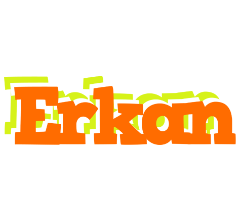 Erkan healthy logo