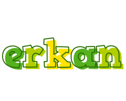 Erkan juice logo