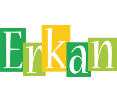 Erkan lemonade logo