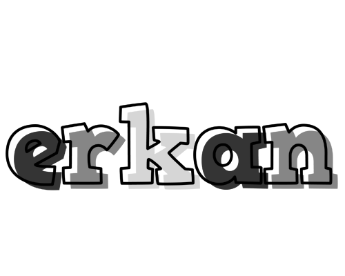 Erkan night logo