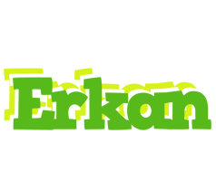 Erkan picnic logo