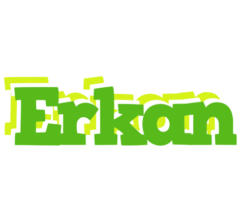 Erkan picnic logo