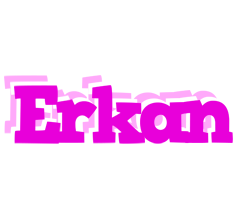 Erkan rumba logo