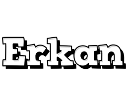 Erkan snowing logo