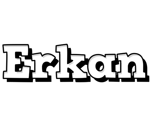 Erkan snowing logo