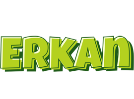 Erkan summer logo